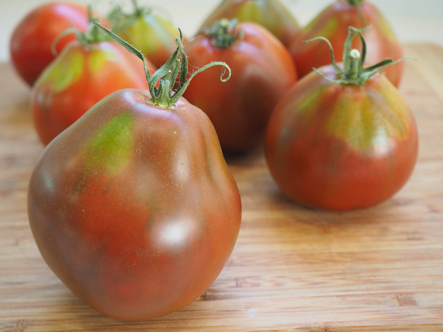 Japanese Black Trifele