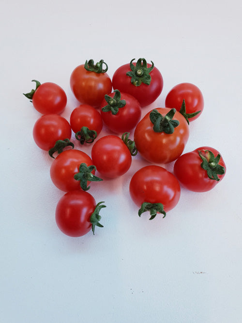 Kallio's Alaskan Dwarf