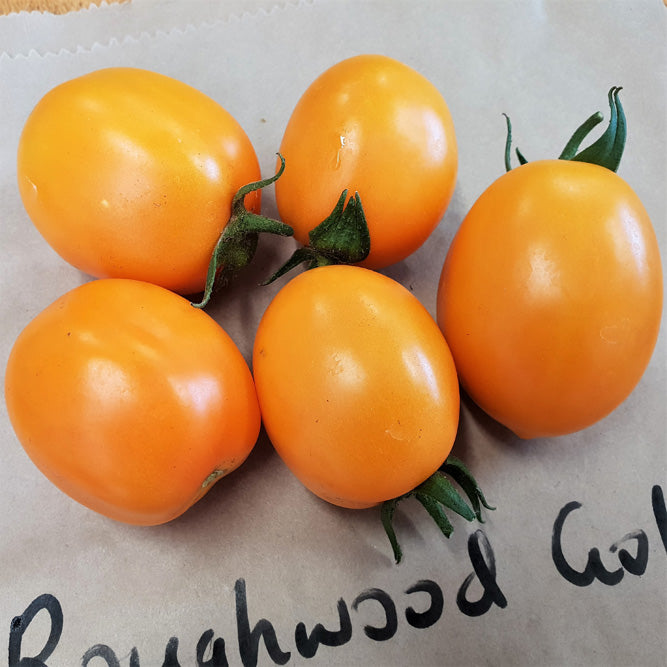 Roughwood Golden Plum