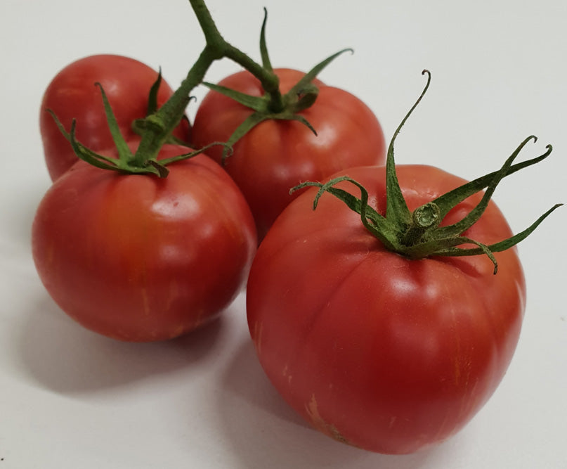 Sutton's Best Of All